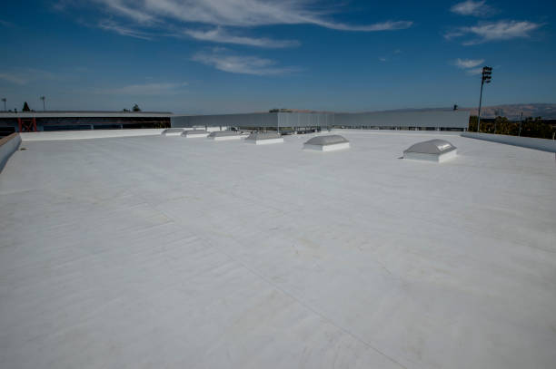 Best Wood Shake Roofing  in Wainaku, HI
