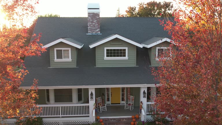 Best Roofing for New Construction  in Wainaku, HI