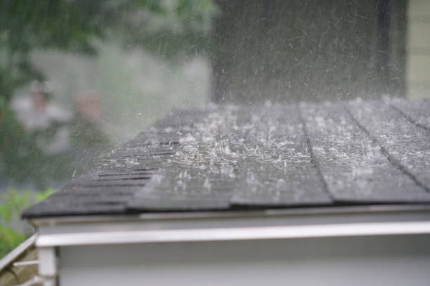 Best Solar Panel Roofing Installation  in Wainaku, HI