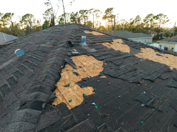 Best 4 Ply Roofing  in Wainaku, HI