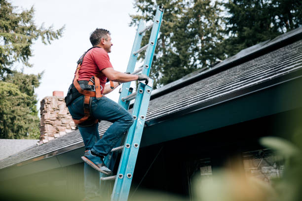 Best Chimney Flashing Repair  in Wainaku, HI